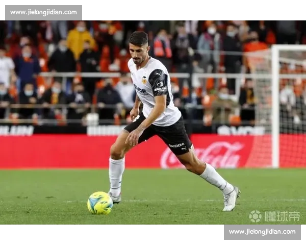 皮奇尼：伤病与网暴下的重生